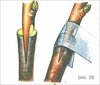 Привычка - cf5a66cd2e76370678fb48d23cda80a4.jpg